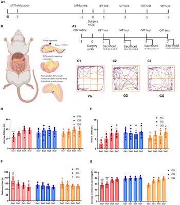 Inflammation Disturbed the Tryptophan Catabolites in Hippocampus of Post-operative Fatigue Syndrome Rats via Indoleamine 2,3-Dioxygenas Enzyme and the Improvement Effect of Ginsenoside Rb1